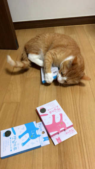 까룡이님이 올린 리뷰 사진 3
