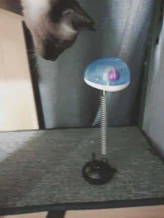 이하연님이 올린 리뷰 사진 2