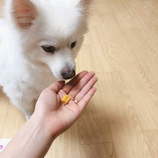 루우가님이 올린 리뷰 사진 2