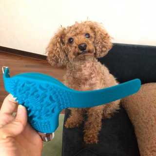리뷰크러쉬님이 올린 리뷰 사진 4