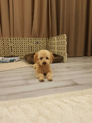 큐티윤님이 올린 리뷰 사진 2