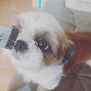 우정야님이 올린 리뷰 사진 1
