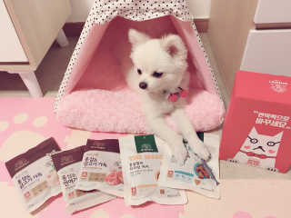 신소향님이 올린 리뷰 사진 2