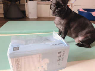 DooHeeHwang님이 올린 리뷰 사진 2