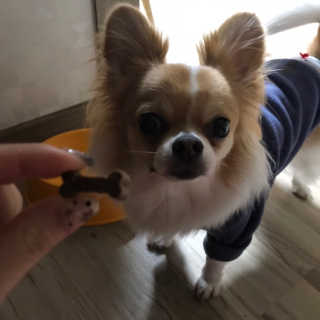 seoakim님이 올린 리뷰 사진 2