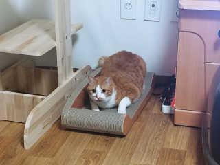 kayla님이 올린 리뷰 사진 3