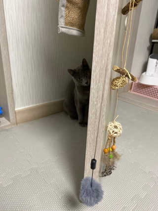 김대현님이 올린 리뷰 사진 3