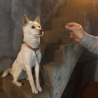 소피마르소님이 올린 리뷰 사진 3