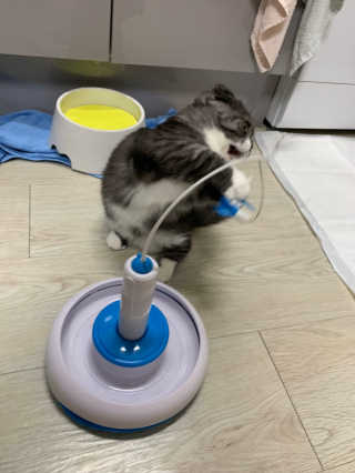 송유미님이 올린 리뷰 사진 3