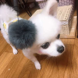 백설님이 올린 리뷰 사진 3