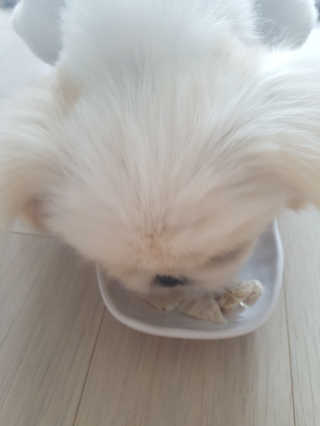 꽃당님이 올린 리뷰 사진 2