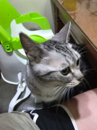 동몽이님이 올린 리뷰 사진 3