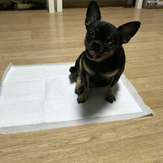 냉면온육수님이 올린 리뷰 사진 1