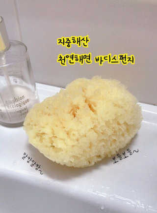 룰라러브 모공관리 끝 지중해산 천연해면 바디스펀지 — 4.33점을 준 리뷰어가 2018년 3월 올린 사용 사진