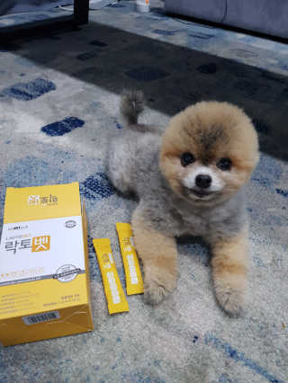 이엘리사님이 올린 리뷰 사진 2