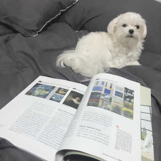 쌔쌔님이 올린 리뷰 사진 3