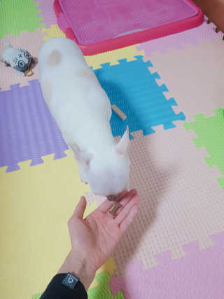 이선영님이 올린 리뷰 사진 3