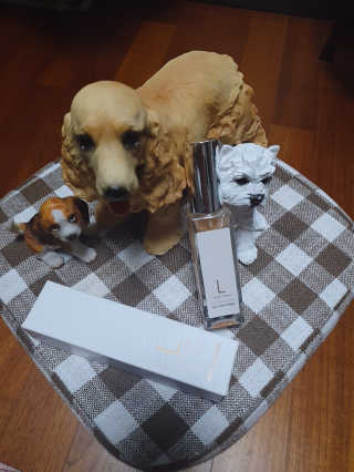 페티앙님이 올린 리뷰 사진 3