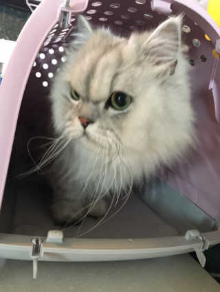 럽S하3님이 올린 리뷰 사진 3