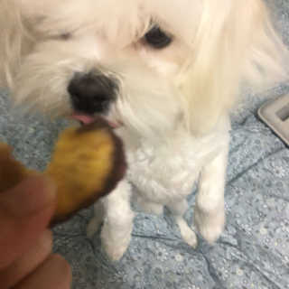 가닝님이 올린 리뷰 사진 2