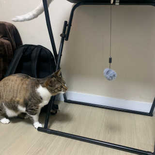 강혤님이 올린 리뷰 사진 2