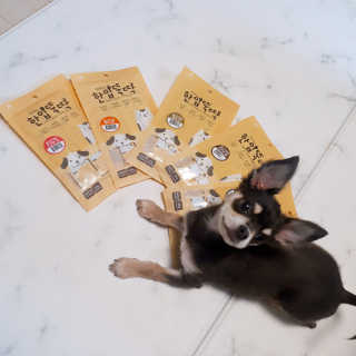 [펫토리아]짜먹는 한입뚝딱 강아지.고양이 마약간식 — 1점을 준 리뷰어가 2019년 8월 올린 사용 사진