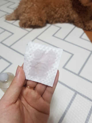 사공명님이 올린 리뷰 사진 4