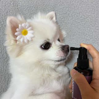 워터몽두님이 올린 리뷰 사진 1
