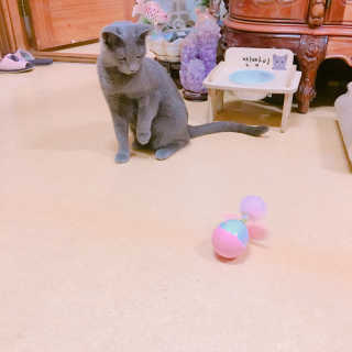 율집사님이 올린 리뷰 사진 2