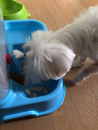 나서영님이 올린 리뷰 사진 2