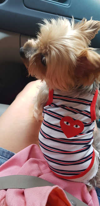 Jy님이 올린 리뷰 사진 2