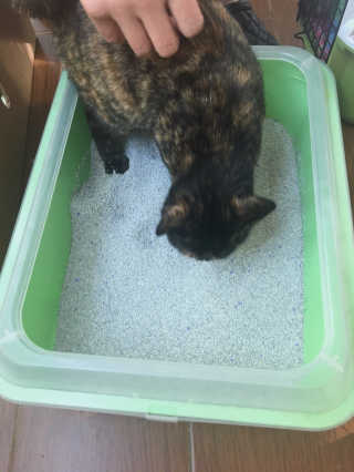 우진지님이 올린 리뷰 사진 2