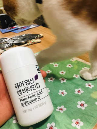 JihyeCheong님이 올린 리뷰 사진 1