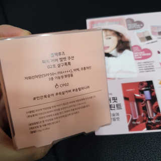 [블랙루즈] 피치 커버 벨벳 쿠션 2종 중 택1 — 5점을 준 리뷰어가 2019년 10월 올린 사용 사진