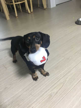 민블리님이 올린 리뷰 사진 2