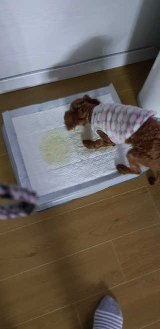 csy8153님이 올린 리뷰 사진 3