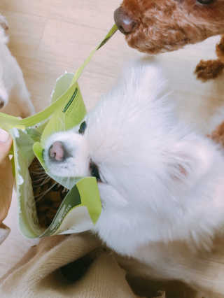 유블님이 올린 리뷰 사진 3