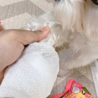 설기넹님이 올린 리뷰 사진 2