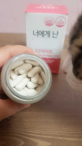 집사는임보중님이 올린 리뷰 사진 4