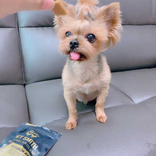 hihihisu님이 올린 리뷰 사진 4
