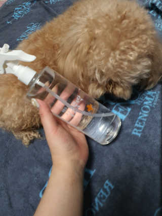 [펫토리아]살균뚝딱 강아지 고양이 살균소독제 탈취제 — 5점을 준 리뷰어가 2019년 10월 올린 사용 사진