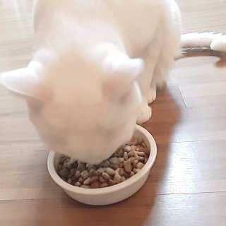은초님이 올린 리뷰 사진 2