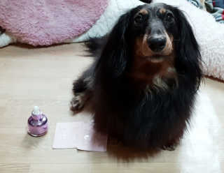 원말삼닥님이 올린 리뷰 사진 3