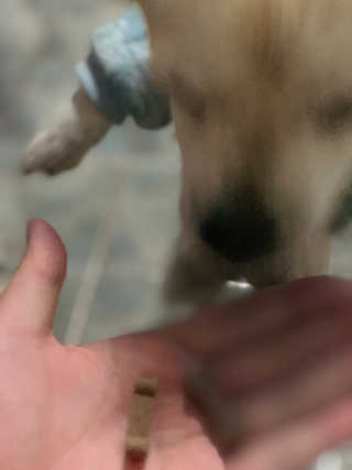 정다녕님이 올린 리뷰 사진 4