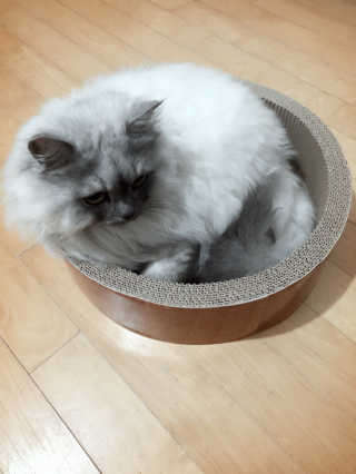 미미님이 올린 리뷰 사진 3