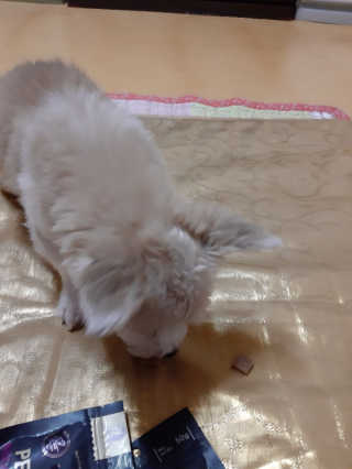 moomoon님이 올린 리뷰 사진 2