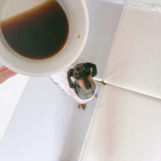 wooriYul님이 올린 리뷰 사진 1