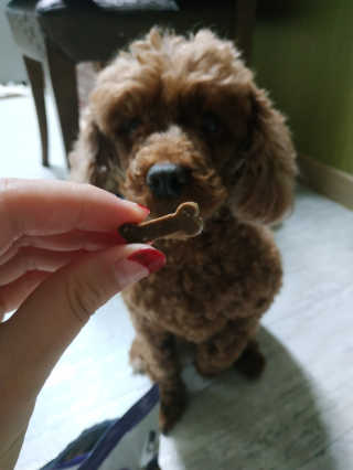 이종연님이 올린 리뷰 사진 1
