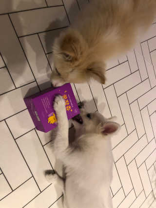 뷰기님이 올린 리뷰 사진 2