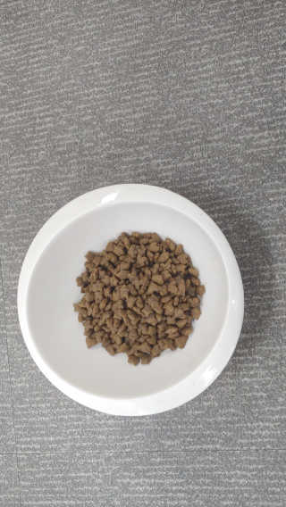 그린펫푸드 인섹트캣 글루텐프리（1.2KG） — 5점을 준 리뷰어가 2019년 8월 올린 사용 사진